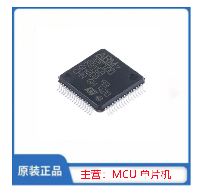 STM32F100R8T6B